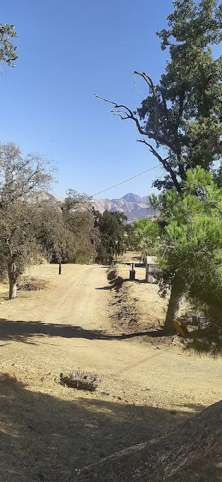 Mountain View Village Picture 2