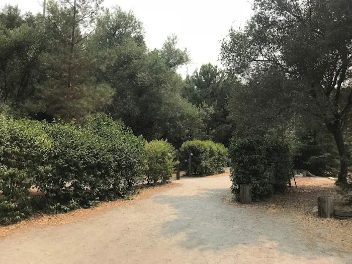 Kaweah Oaks Campground Picture 3