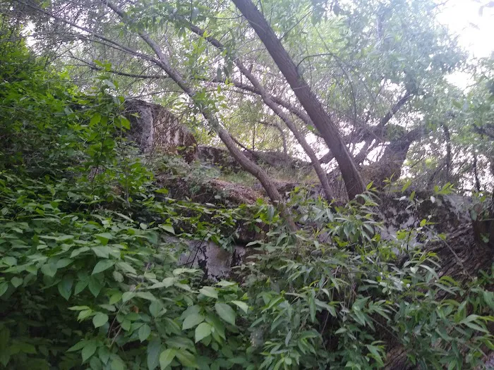 Kaweah Oaks Campground Picture 8