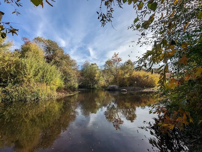 Three Rivers Hideaway Picture 4