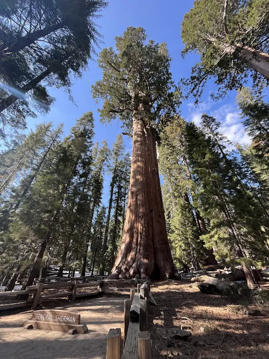 Three Rivers Hideaway Picture 5