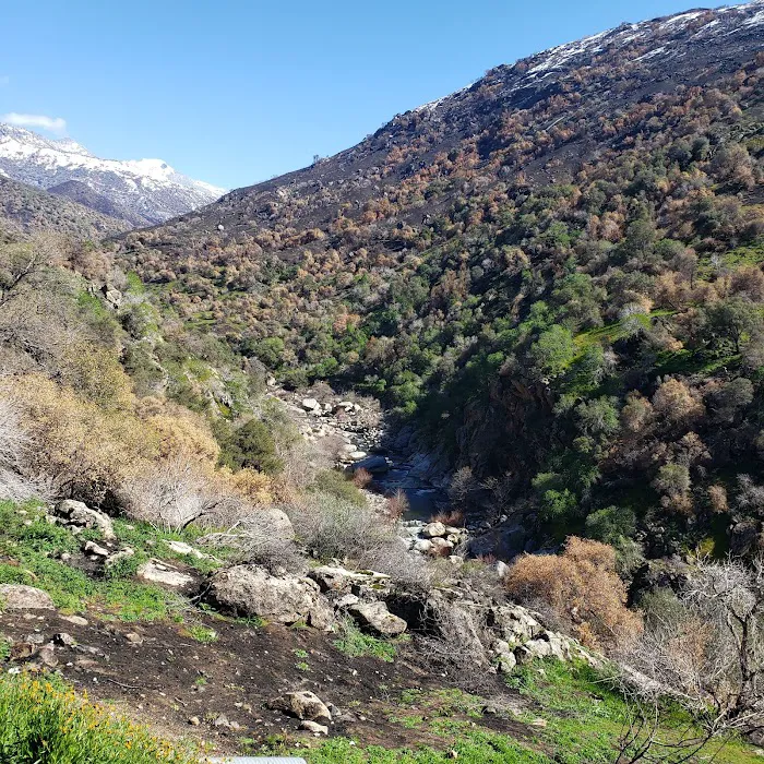 Three Rivers Hideaway Picture 7