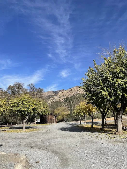 Three Rivers Hideaway Picture 8