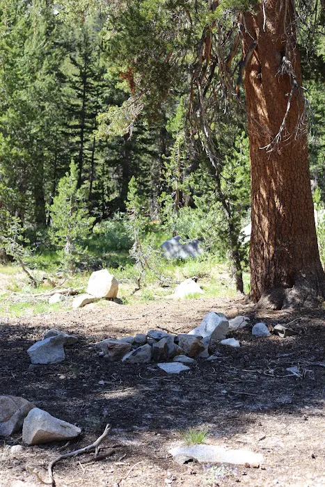 Dispersed Campground Picture 2