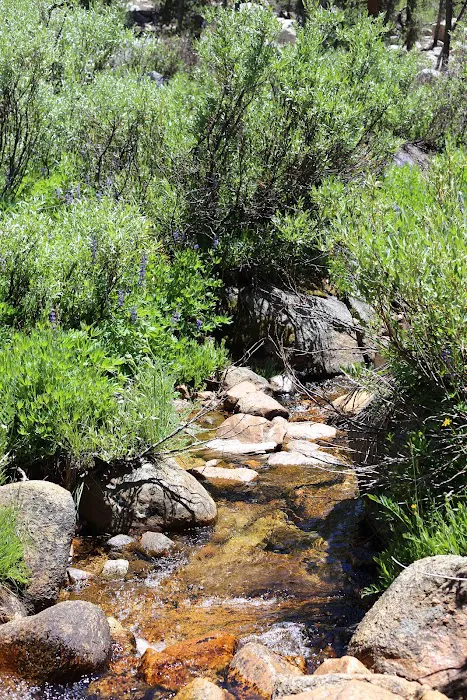 Dispersed Campground Picture 3