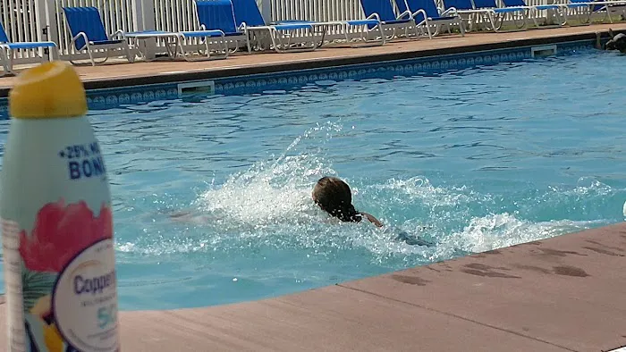 Jellystone Park™ Delaware Beaches Picture 1