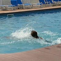 Jellystone Park™ Delaware Beaches ico