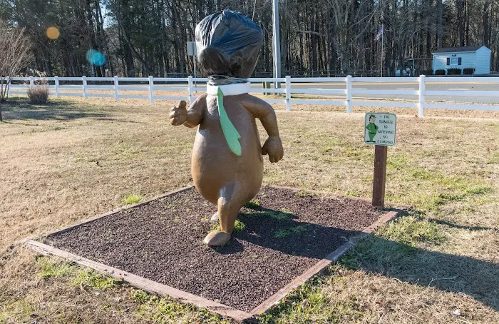 Jellystone Park™ Delaware Beaches Picture 10