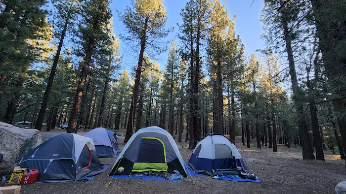 Pine Glen Group Campground Picture 1