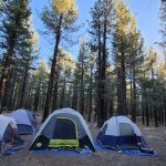 Pine Glen Group Campground