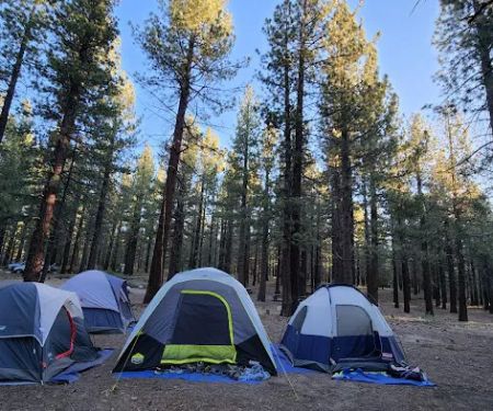 Pine Glen Group Campground