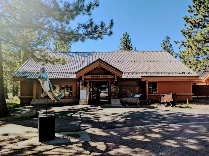 Pine Glen Group Campground Picture 2