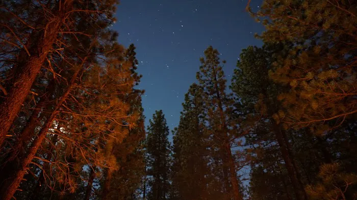 Pine Glen Group Campground Picture 3