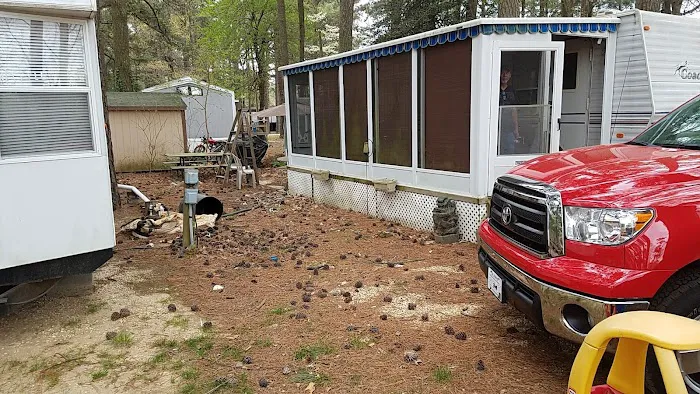 Pine Haven MV Picture 1