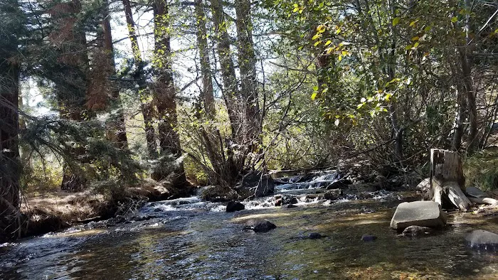 Sherwin Creek Campground Picture 6