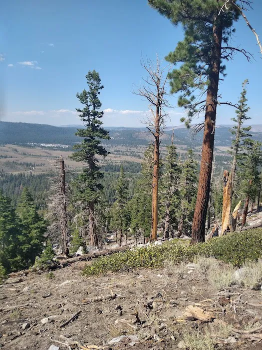 Sherwin Creek Campground Picture 4