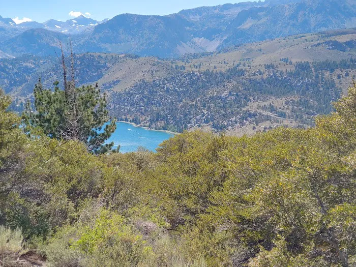 Glass Creek Campground, Inyo NF Picture 5