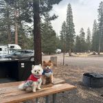 Glass Creek Campground, Inyo NF