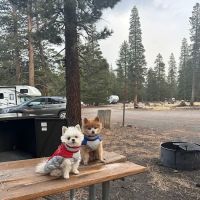 Glass Creek Campground, Inyo NF ico