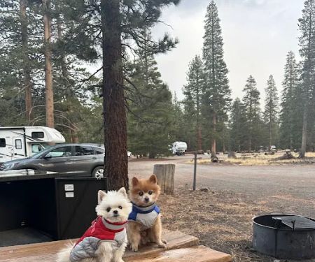 Glass Creek Campground, Inyo NF