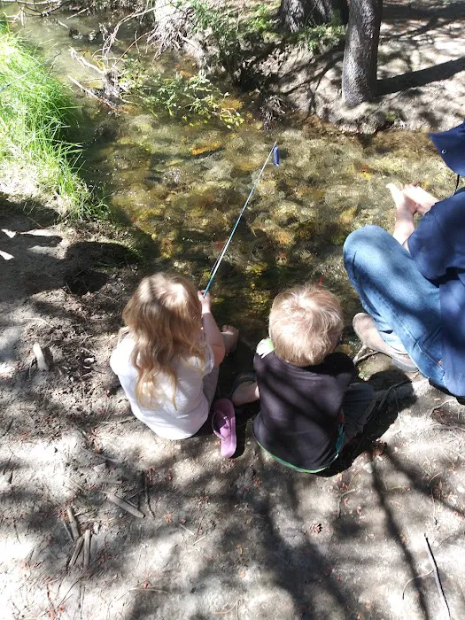 Glass Creek Campground, Inyo NF Picture 9