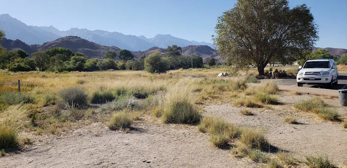 Glass Creek Campground, Inyo NF Picture 7