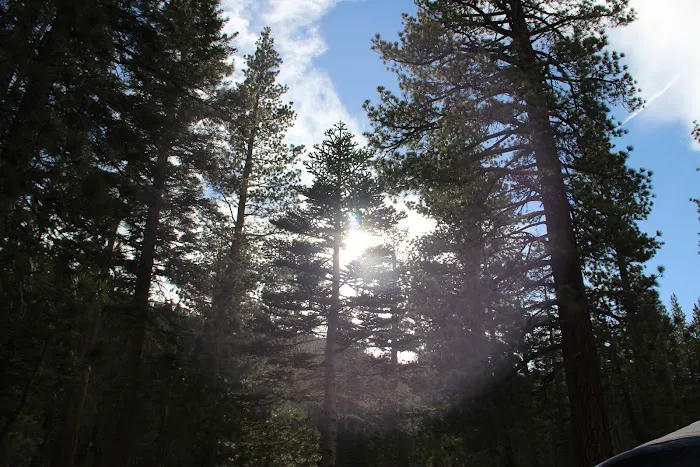 Hartley Springs Campground Picture 6