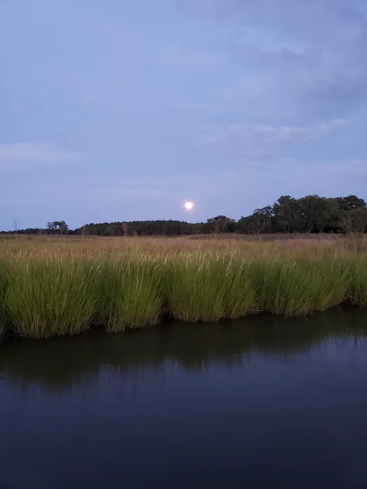 Steamboat Landing LLC Picture 4