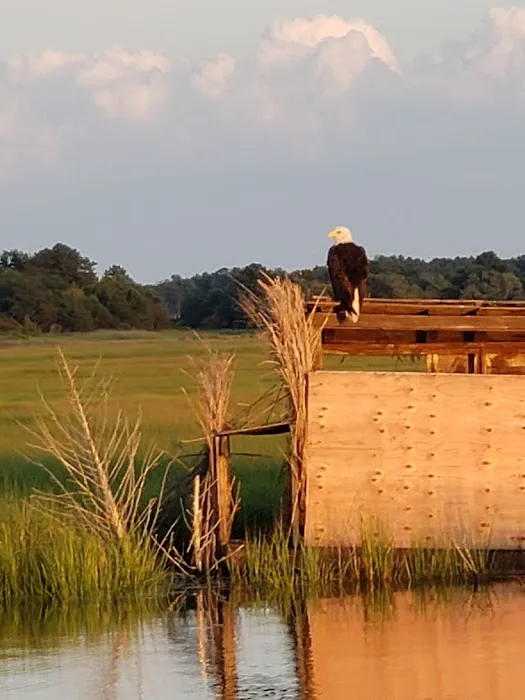 Steamboat Landing LLC Picture 10