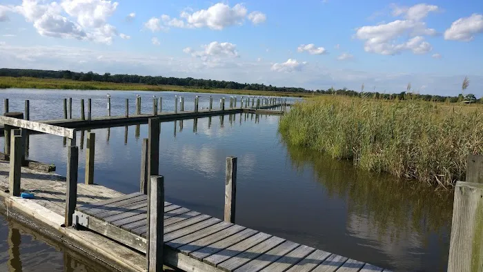 Steamboat Landing LLC Picture 9