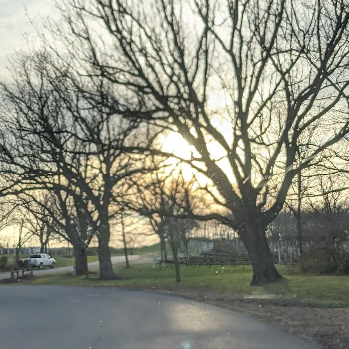 Whispering Pines Picture 7