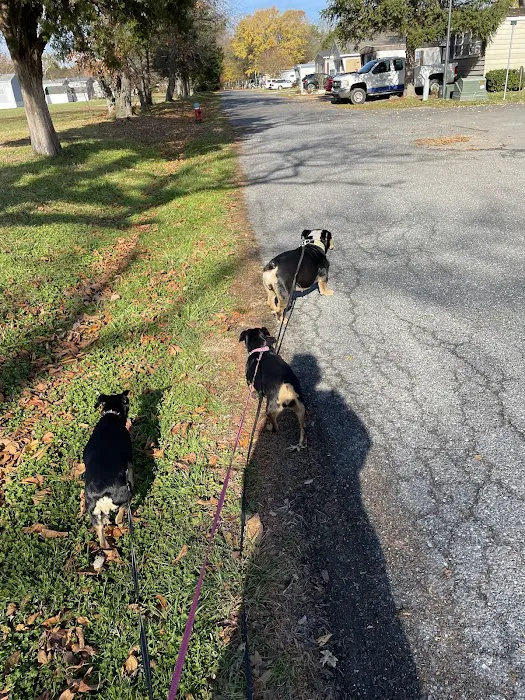 Whispering Pines Picture 5