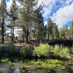 Big Springs Campground