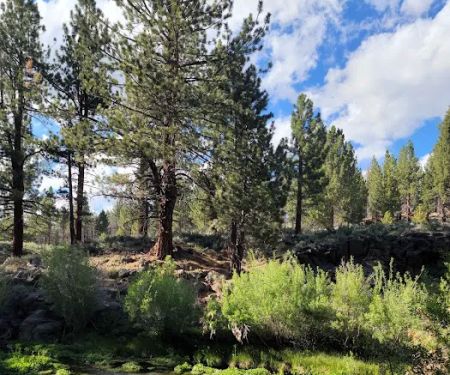 Big Springs Campground