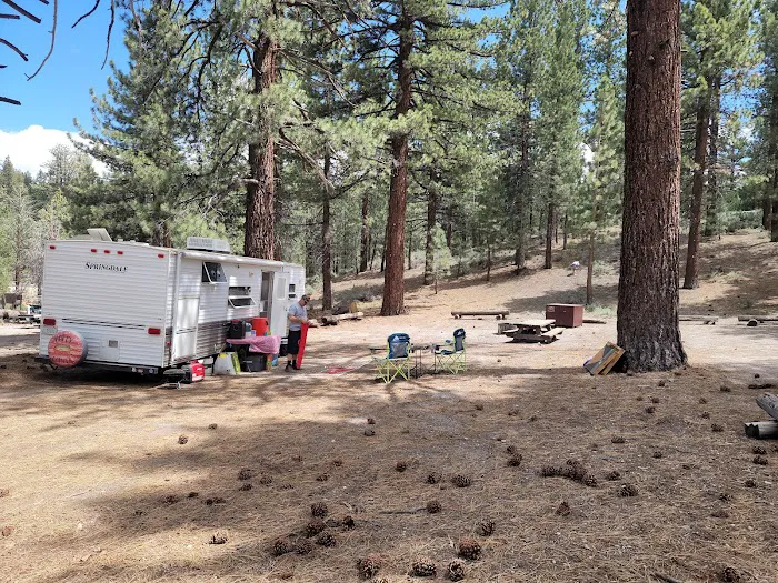 Big Springs Campground Picture 3
