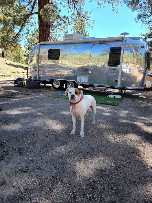 Big Springs Campground Picture 7