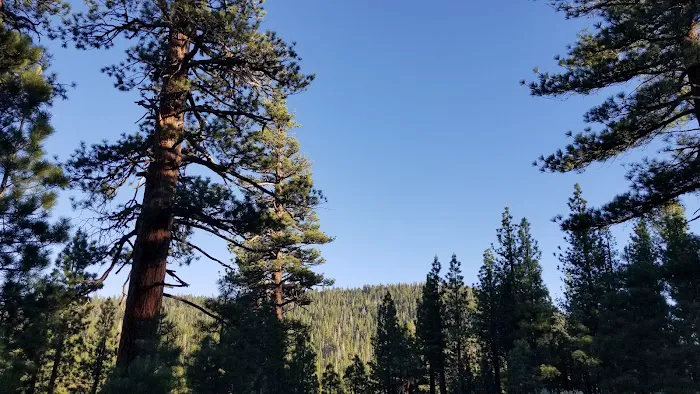 Big Springs Campground Picture 8