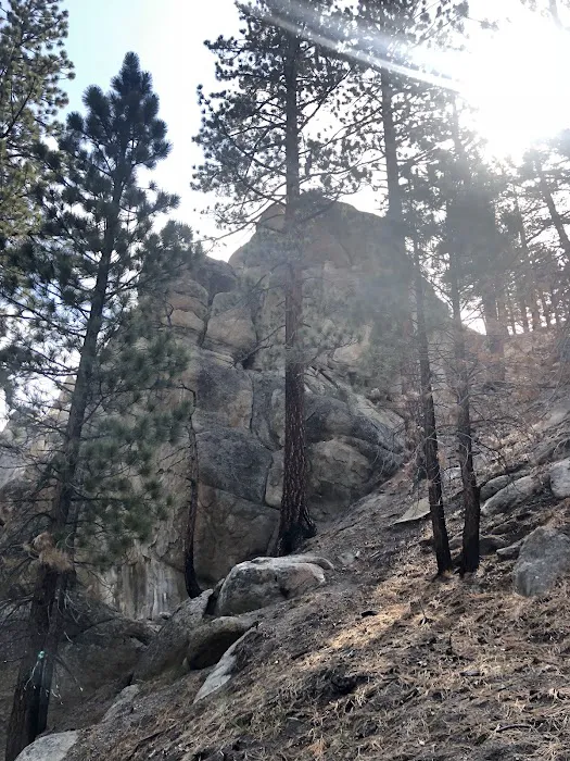 Big Springs Campground Picture 10