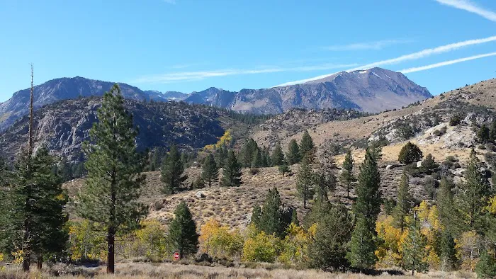 Reversed Creek Campground Picture 2
