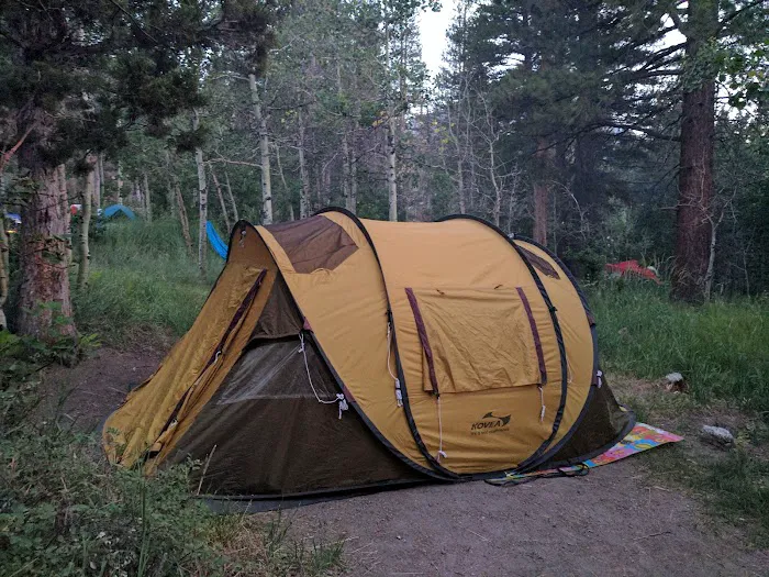 Reversed Creek Campground Picture 5