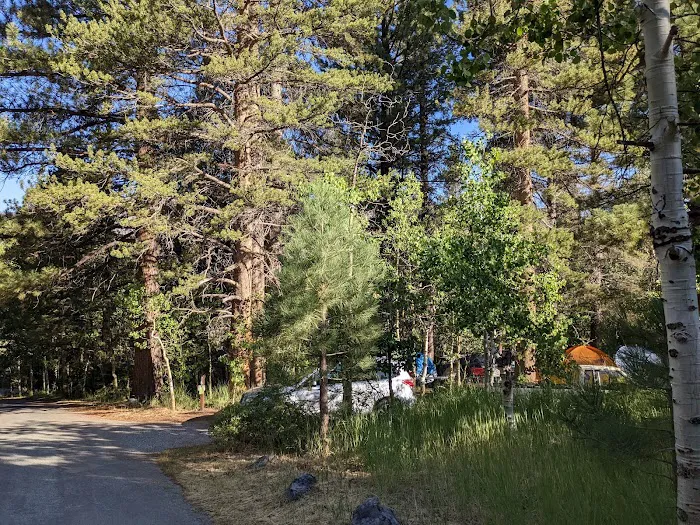 Reversed Creek Campground Picture 3