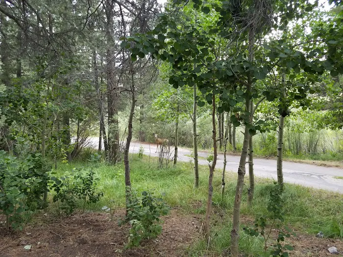 Reversed Creek Campground Picture 10