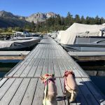 June Lake Campground