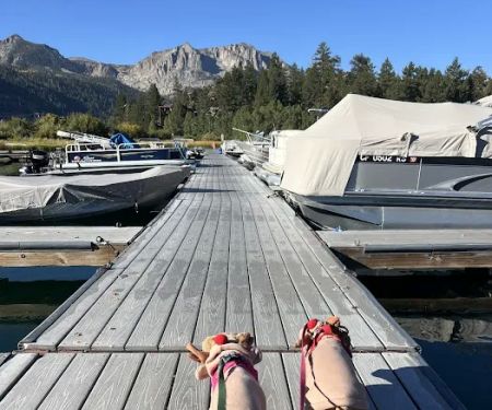 June Lake Campground