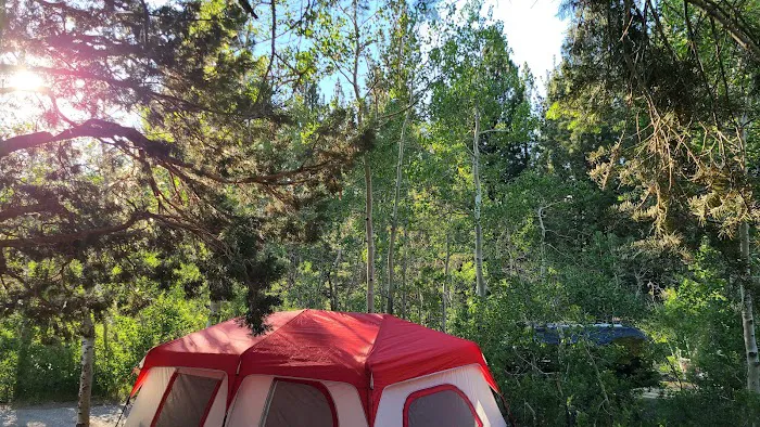 June Lake Campground Picture 4