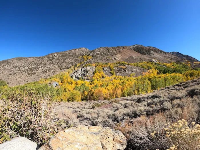 June Lake Campground Picture 3
