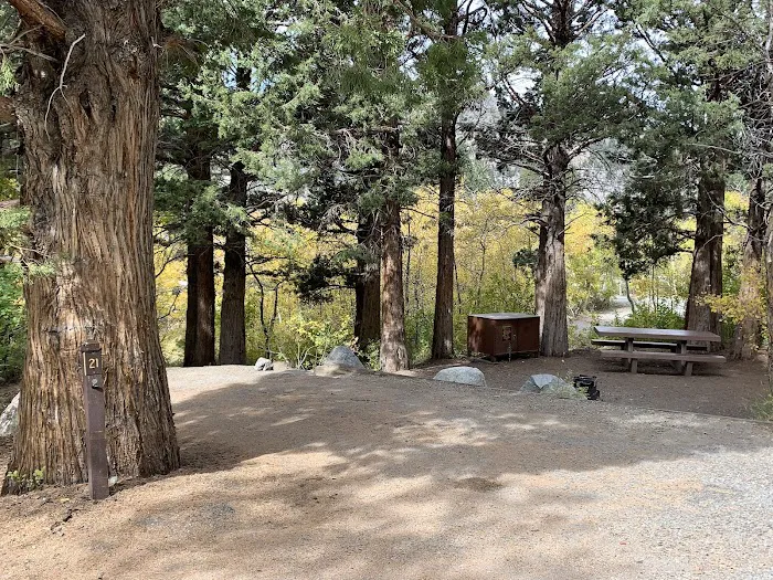 June Lake Campground Picture 7