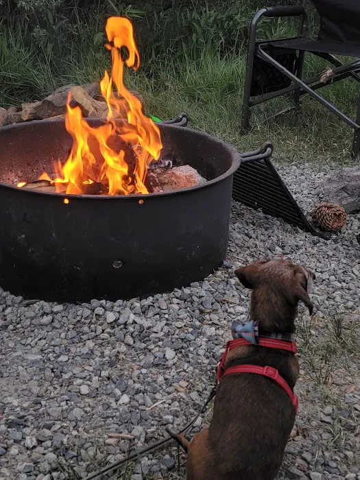 June Lake Campground Picture 9