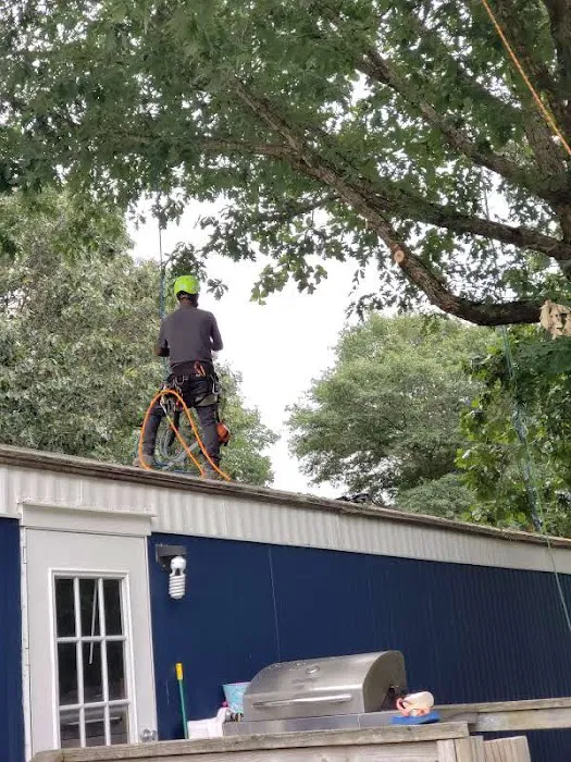 Walkers Mill Mobile Home Park Picture 3