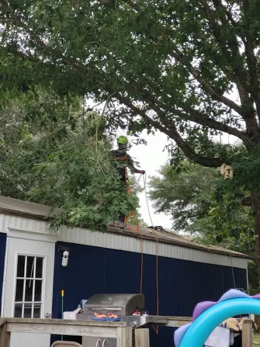 Walkers Mill Mobile Home Park Picture 2